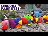 Peppa Pig Play Doh Surprise Eggs Parrots Thomas and Friends Cars Jake Peter Pan Pirates Tinker Bell