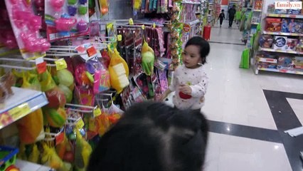 Vlog 220 Cún Đi Siêu Thị ( family.vn )