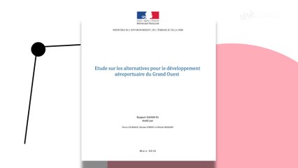NDDL : projet "surdimensionné" pour les experts de Royal
