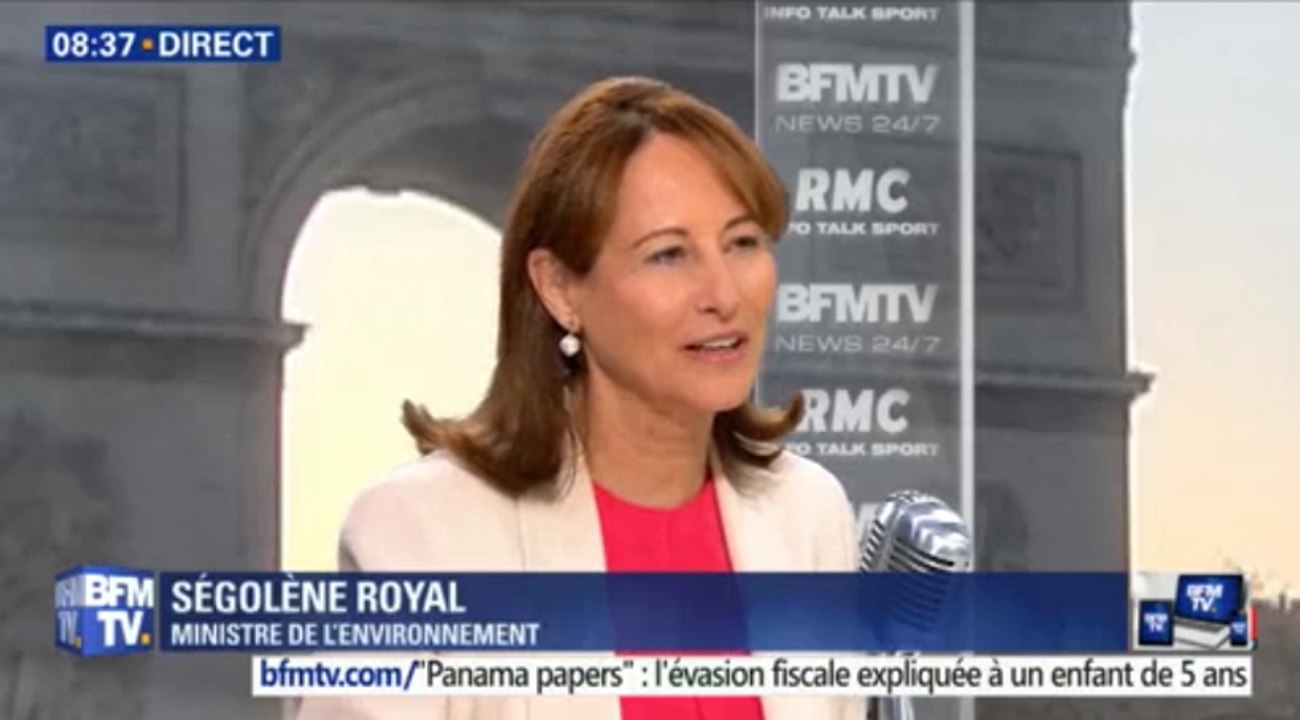 NDDL : Ségolène Royal précise les modalités du référendum