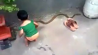 Baby playing with snake