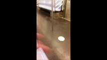 Dangereux de s'endormir dans le métro de New York. Des rats vous grimpent dessus