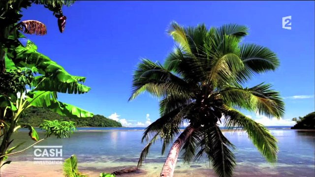 Panama Papers : Quand Cash Investigation épingle un ex-cadre... de France Télé !