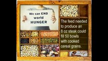 Heifer -What we do (MEAT = WORLD HUNGER Feed Children Malnutrition USDA UNICEF Amnesty International