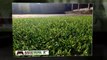 Fake Grass for Gardens | Artificial Super Grass