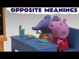 Peppa Pig English Opposites Play Doh MLP Thomas and Friends Crash Kinder Surprise Egg Pepa Funfair