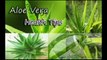 Benefits of Aloe Vera Juice | weight loss, skin, Hair and Cholesterol Tips