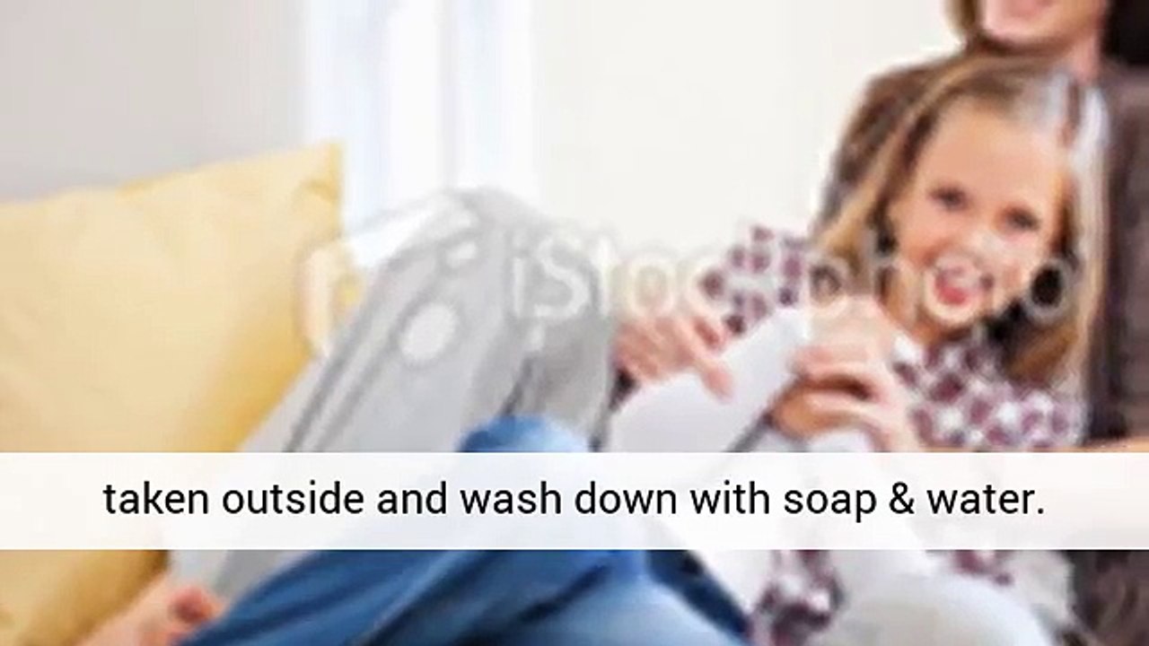 New Area Rugs Collection - area rug cleaning tips