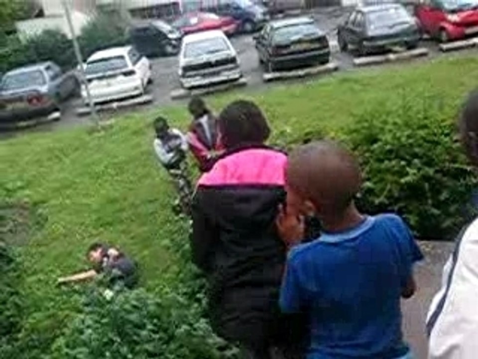 Video de la teci 005
