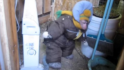 Monkey In A Big Coat Hops To The Barn To Check On The Animals