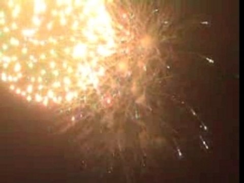 Wei ESDES 2006 Trailer