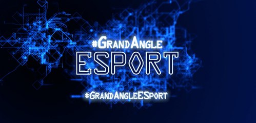 From keyboards to screens worldwide: discovering French e-sports #WideAngleE-Sports