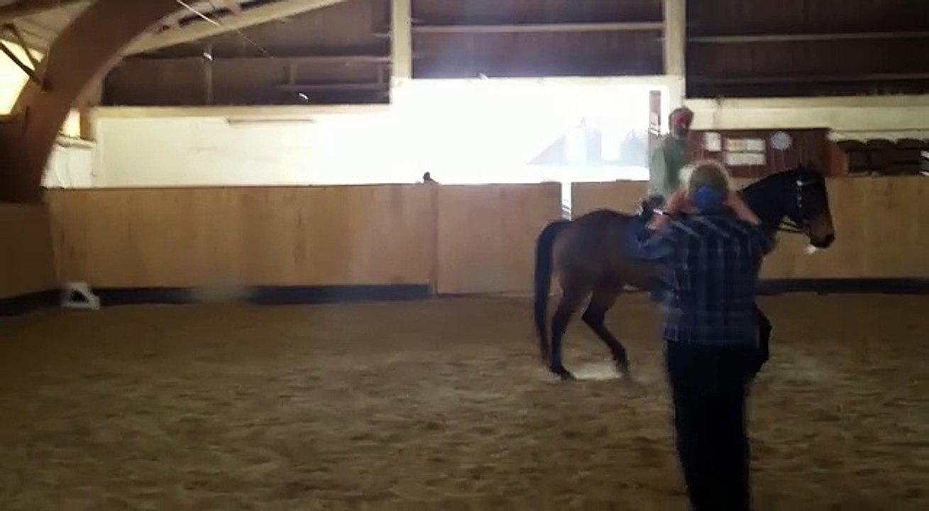 Mit Leichtigkeit zur Harmonie | Thomas Heumann mit QH Jack