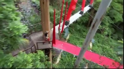 Show Business Celebrities - coming out 45