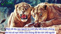 3 Quái thú ăn thịt người đáng sợ trong lịch sử ✔