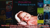 The Fourth Trimester Understanding Protecting and Nurturing an Infant through the First