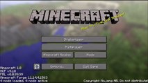 Minecraft | IMPROVING MINECRAFT MAKES MINECRAFT MORE IMPROVED!!! | 100 seconds M
