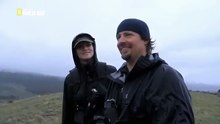 The Wild Yellowstone Wild 82