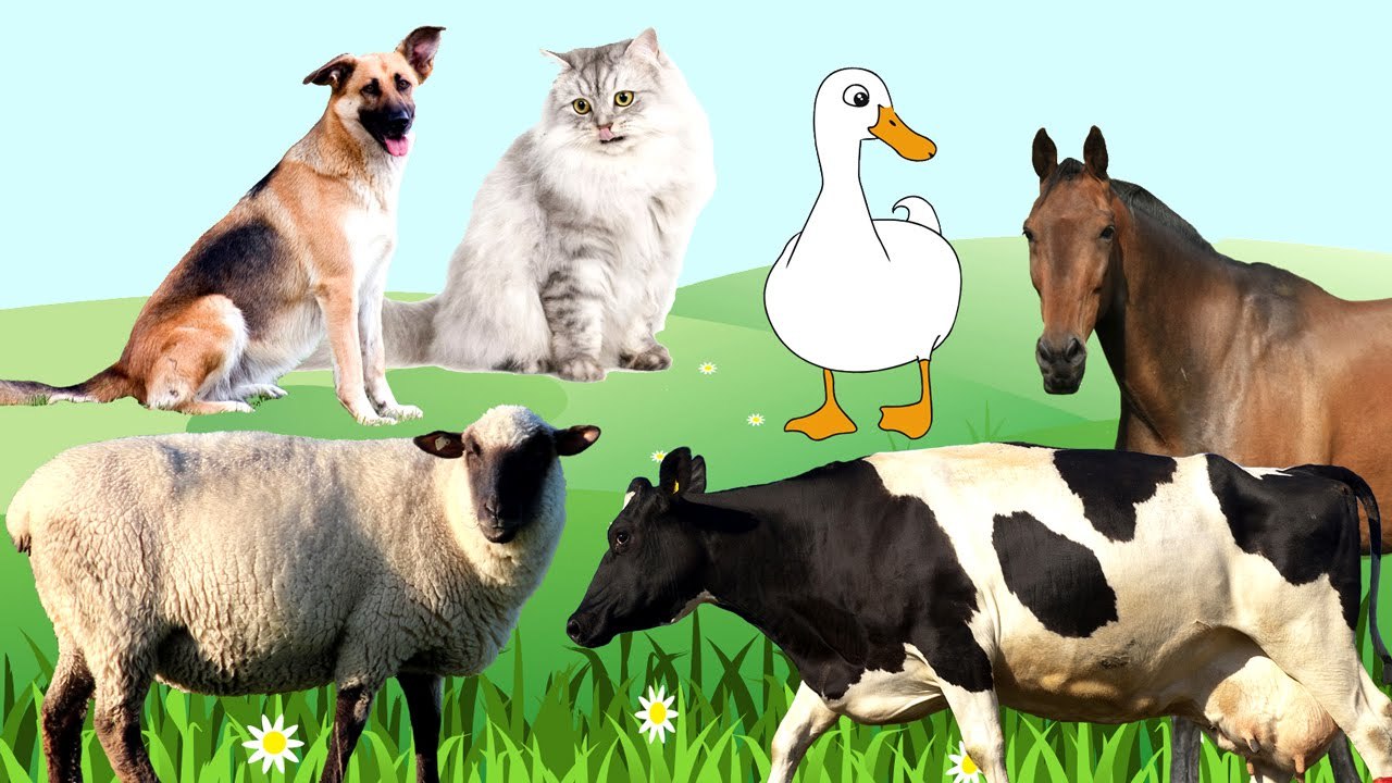 Мультики для самых маленьких. Домашние животные  папы, мамы и малыши. Животные для детей.