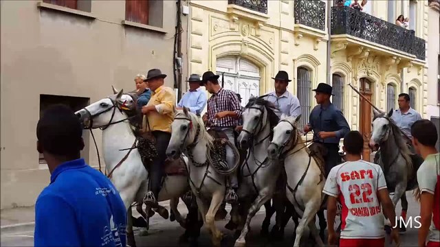 UCHAUD-Abrivado-course camarguaise-bandido-15/08/2015-Journee Taurine