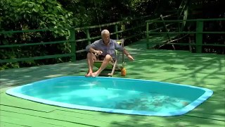 Adam Onlarca Piranaların Bulunduğu Havuza Girerse