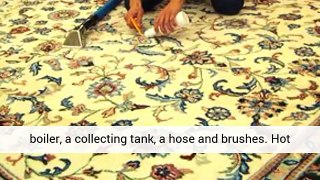 Dry Cleaners for Area Rugs - steam master reviews