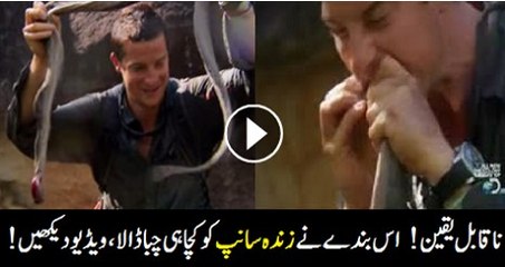 Man Eat Alive Snake With His Teeth,