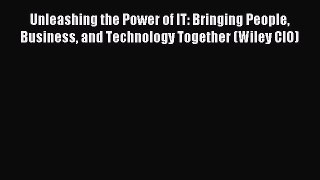 Read Unleashing the Power of IT: Bringing People Business and Technology Together (Wiley CIO)