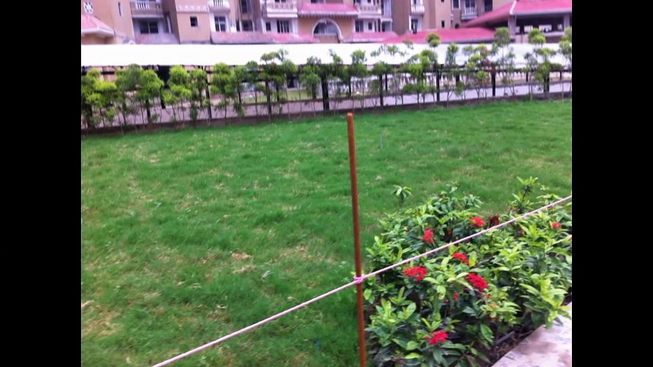 Amrapali Titanium Satisfy The Requirements