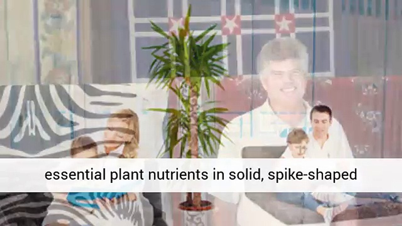 When Do I Put in Fertilizer Spikes for Shrubs & Trees?