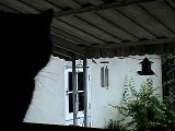 Silhouette Cat Meows While Watching Birds.