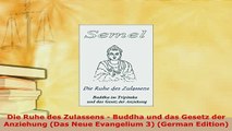 PDF  Die Ruhe des Zulassens  Buddha und das Gesetz der Anziehung Das Neue Evangelium 3  EBook