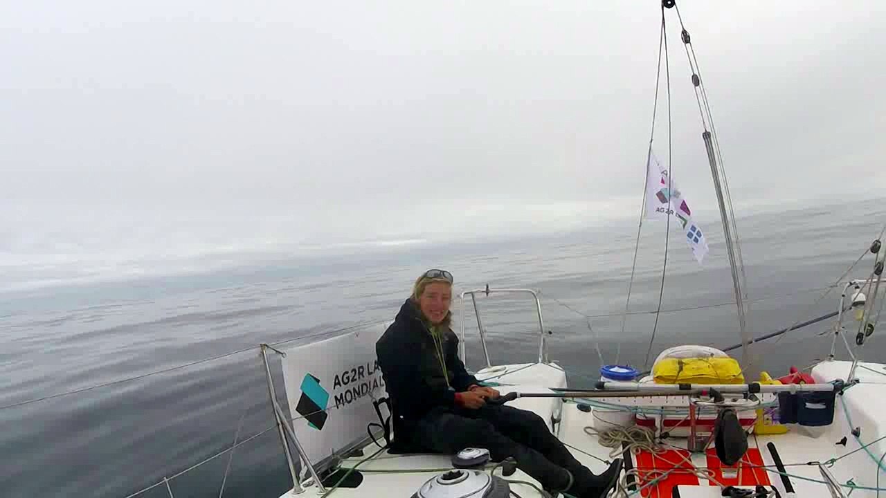 Dauphins à bord de Guadeloupe