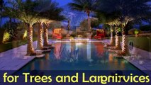 Outdoor Landscape Lights and Tree Lighting for Lakewood Ranch, Sarasota, and Bradenton, Florida