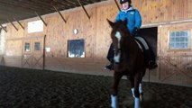 Tillie dressage lesson 2-15-16 - sit trot