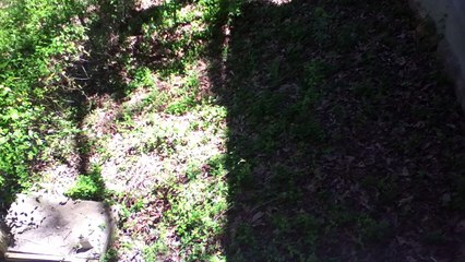 Z57 presents Where did it go?