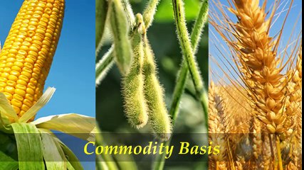 What is USDA (US Department of Agriculture)?