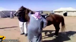 Funny Arab - Most Funny Arab Videos