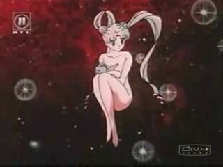 PREMIER AMV LUNA BUNNY