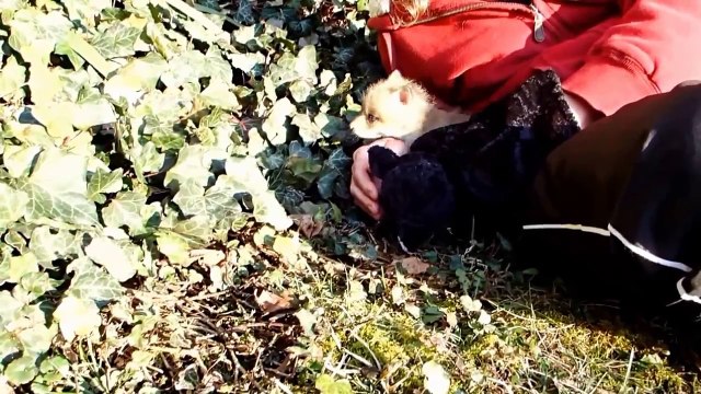 Un couple est parti en randonnée, ce qu'ils y ont trouvé est surprenant !