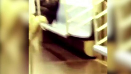 ¡Le pasa una rata por encima por quedarse dormido en el metro!