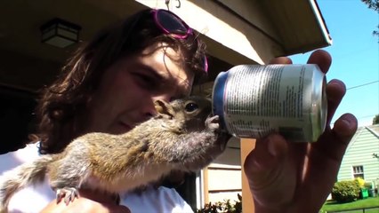 How in The World Did They Get These Animals as Pets