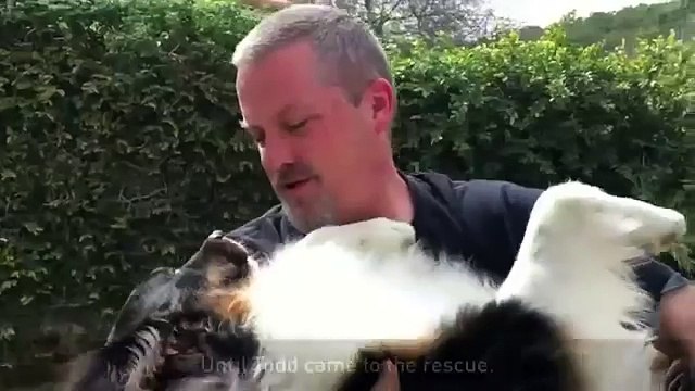 Abandonné à cause de ses deux truffes, Toby est sauvé de l’euthanasie