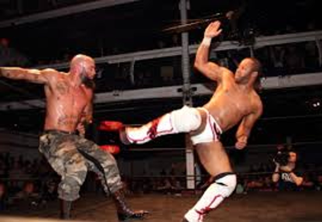 WWE Raw 23-_11-_15 ALL Signatures and Finishers, Nov. 23, 2015