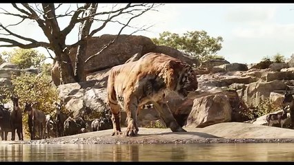 Download Video: The Jungle Book ALL MOVIE CLIPS - Scarlett Johansson, Idris Elba, Ben Kingsley, Neel Sethi (World Music 720p)