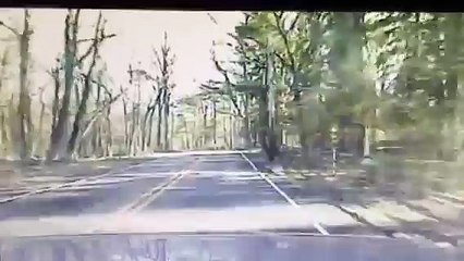 Un arbre s'effondre à quelques centimètres d'une voiture de police