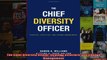 The Chief Diversity Officer Strategy Structure and Change Management