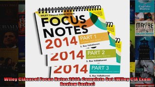 Wiley CIAexcel Focus Notes 2014 Complete Set Wiley CIA Exam Review Series