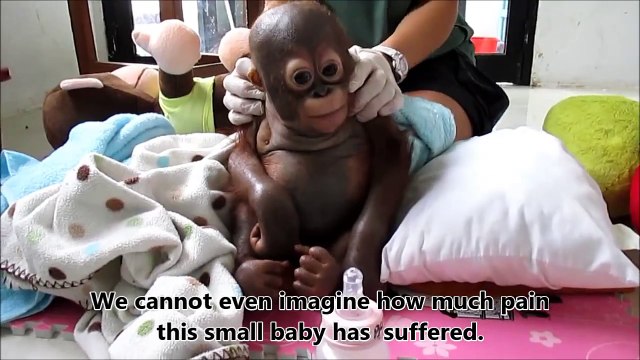 This Baby Was Locked In A Cage For A Year. When This Nurse Finds Him, My Heart Breaks!