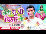 रंग डाली का हथनी - Holi UP Bihar Ke | A.J Ajeet Singh | Bhojpuri Holi Song 2016